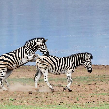 Tented Adventures Pilanesberg Exterior foto