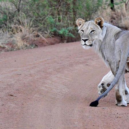 Tented Adventures Pilanesberg Exterior foto