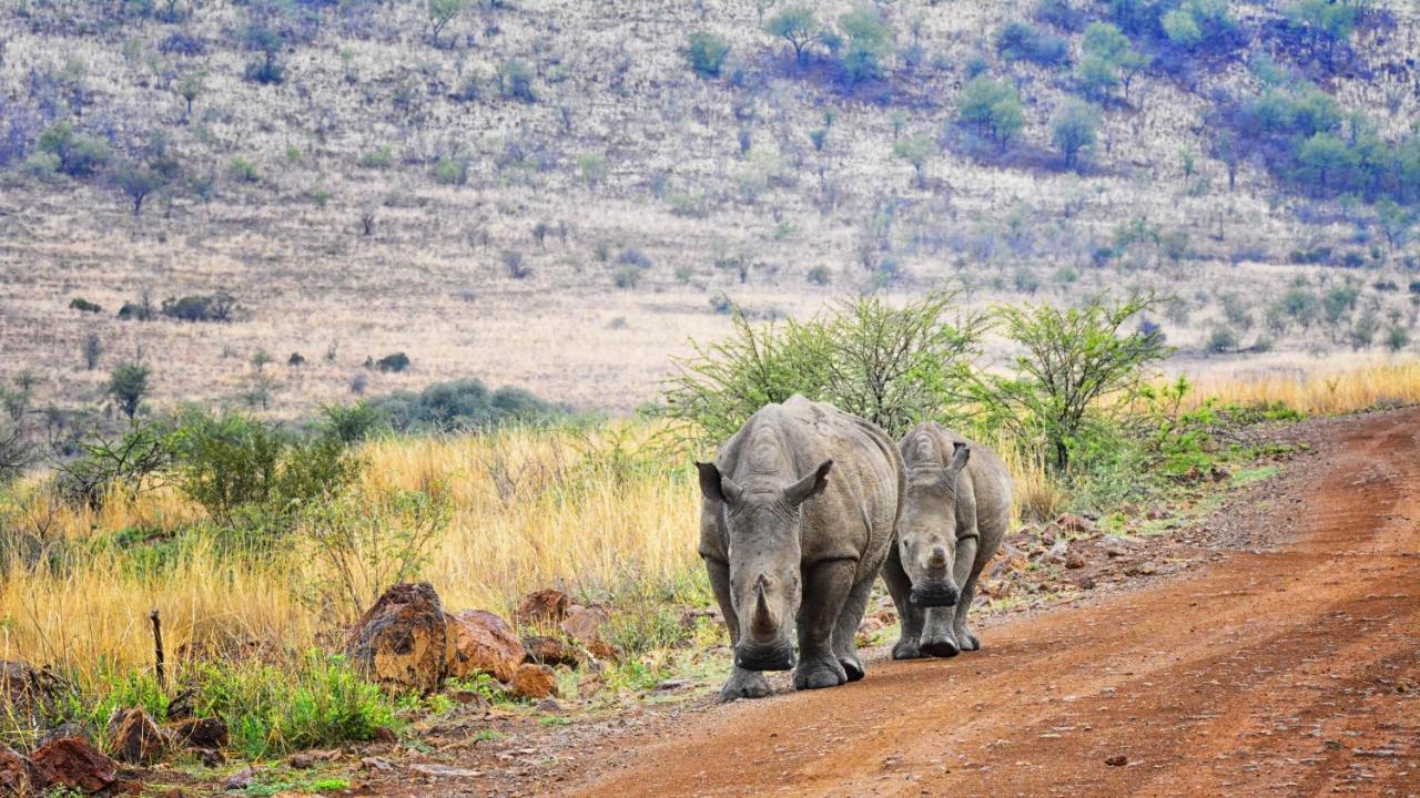 Tented Adventures Pilanesberg Exterior foto